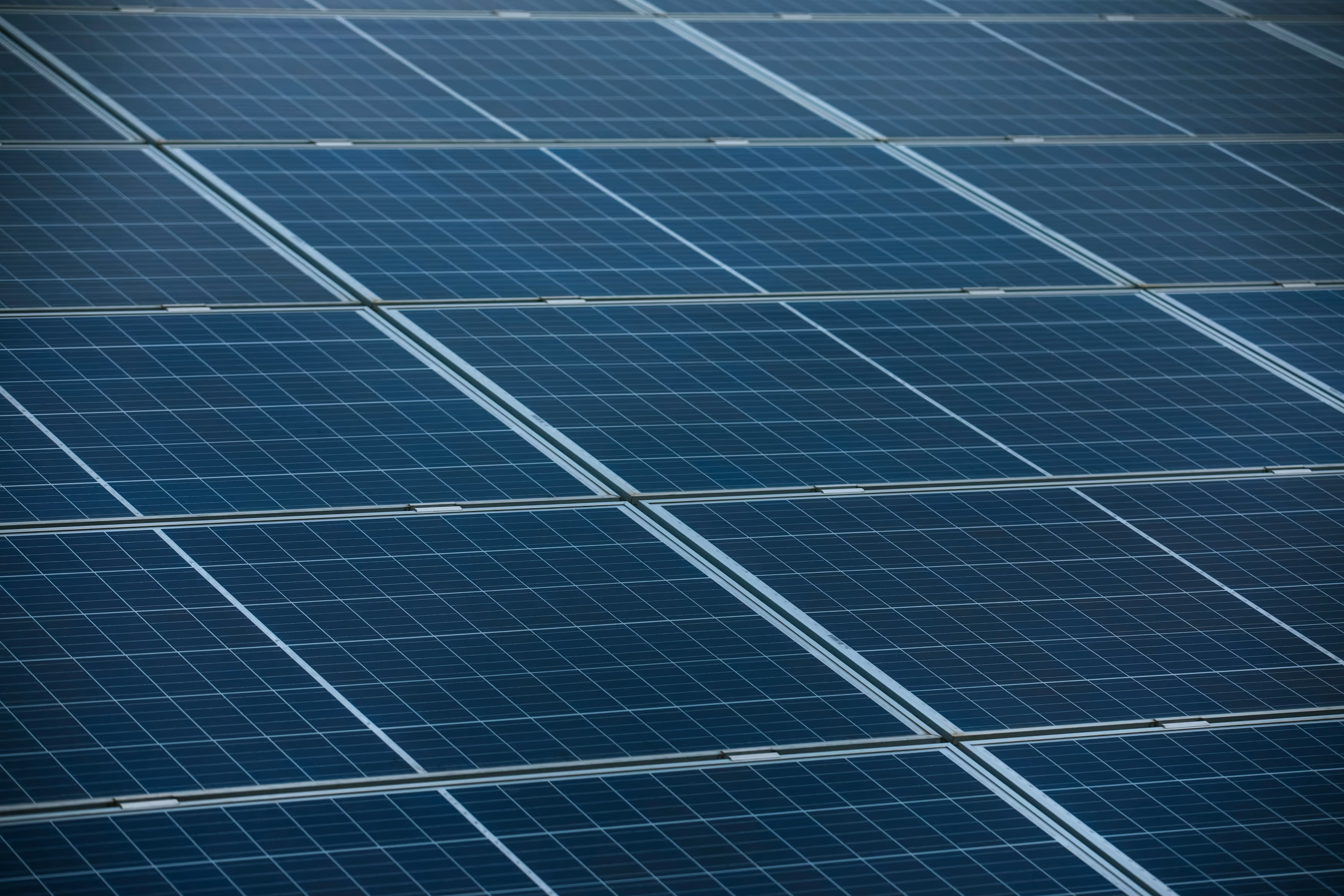 Close-up of blue solar panels arranged in a grid pattern.