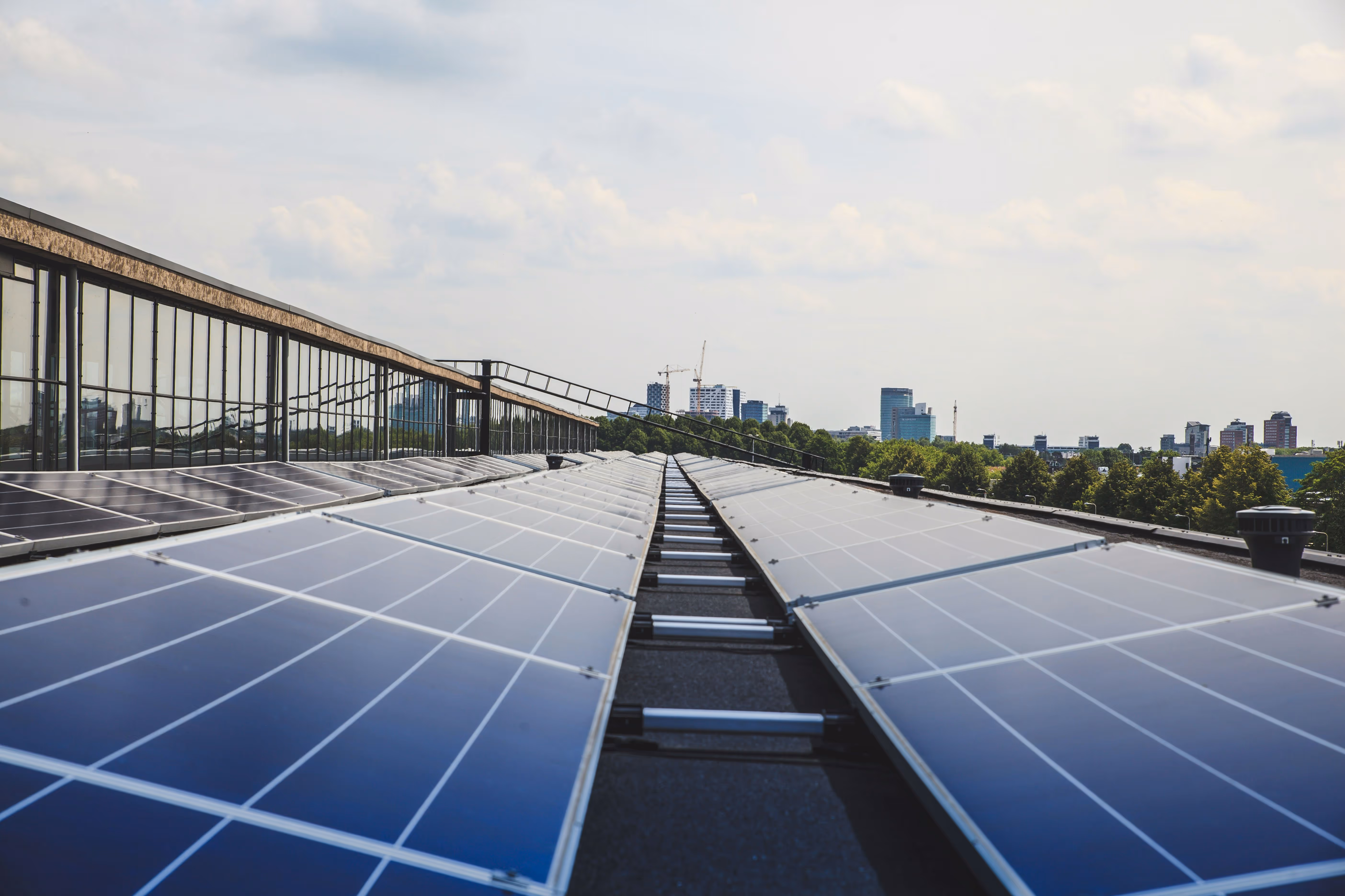 Rows of solar panels installed on a rooftop with a city skyline and trees in the background under a cloudy sky.